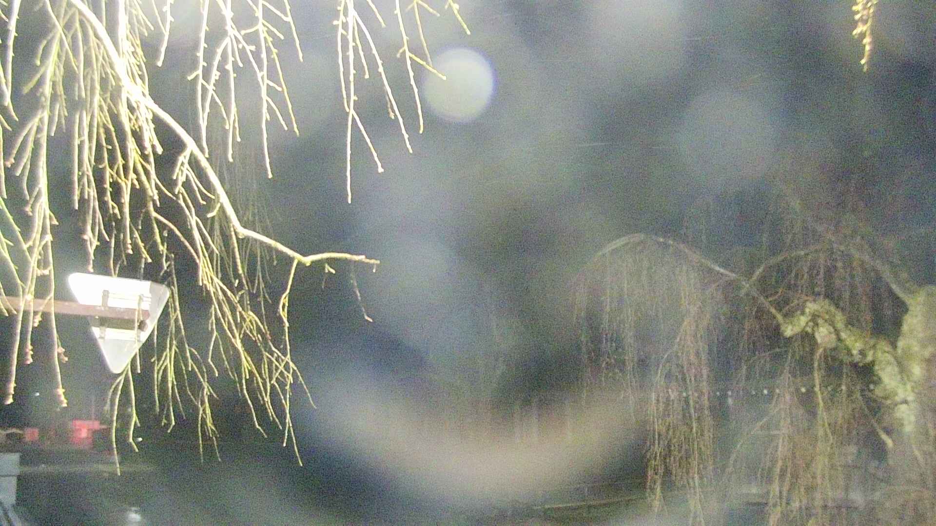 area1-20250418025014.jpg