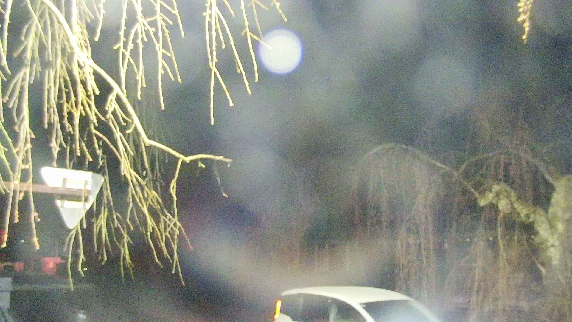 area1-20250418031016.jpg