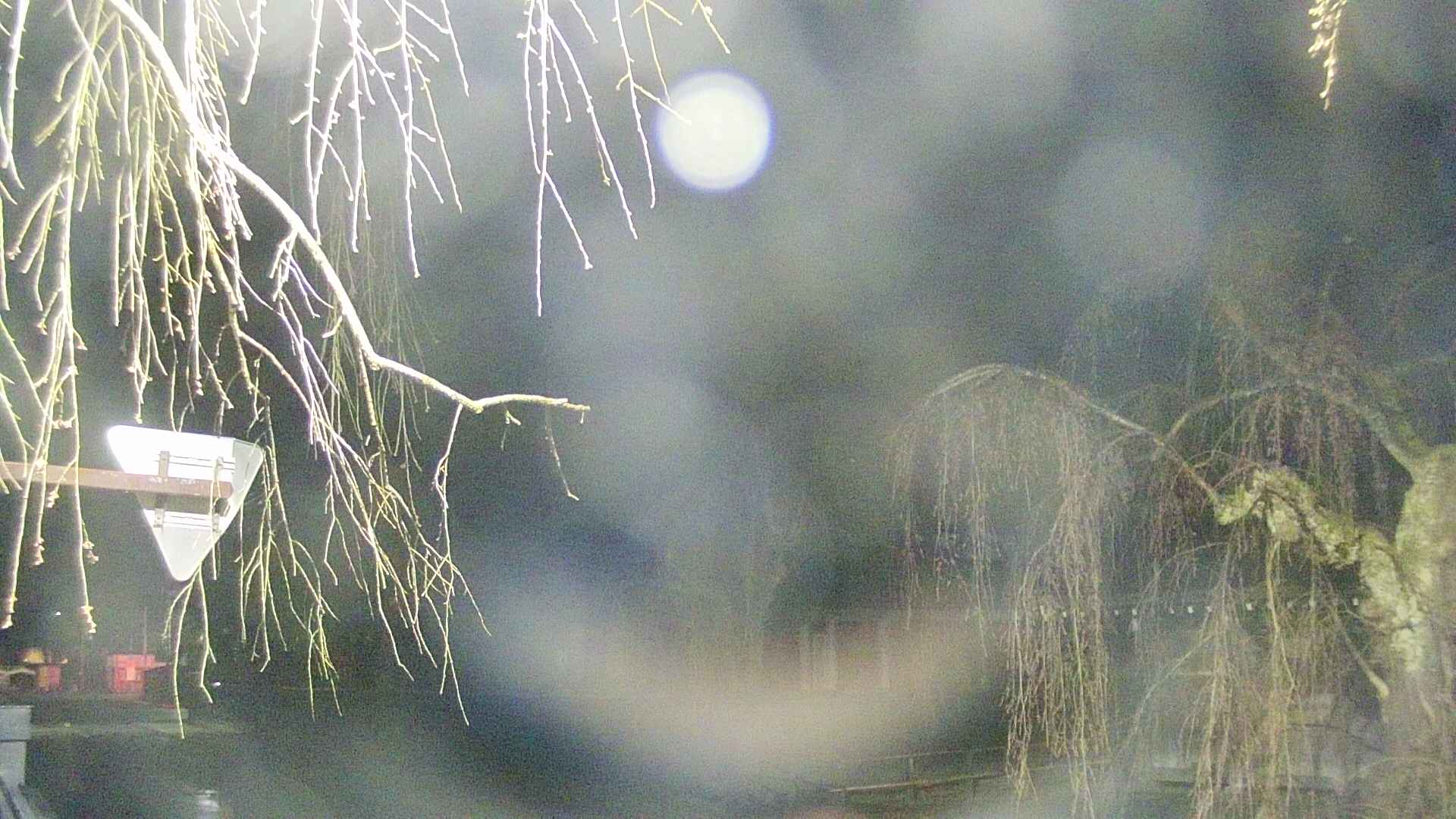 area1-20250418032014.jpg