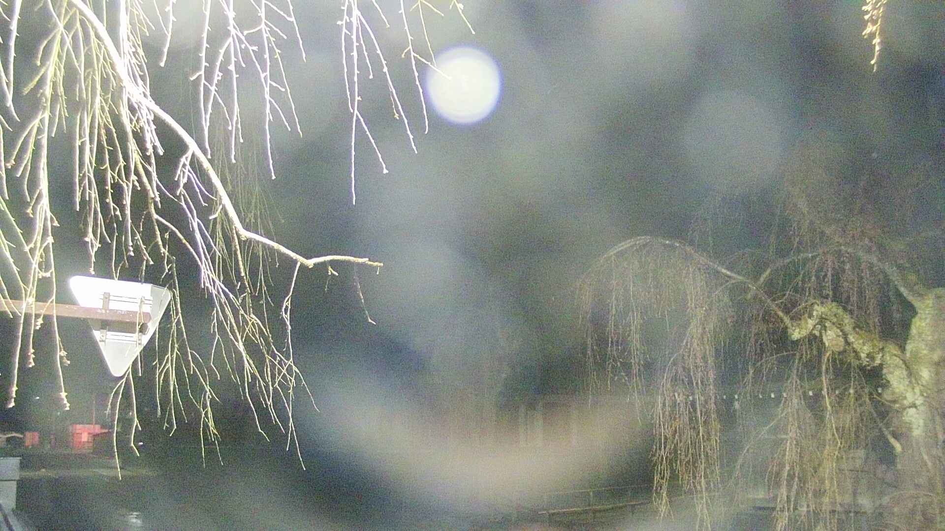 area1-20250418033016.jpg