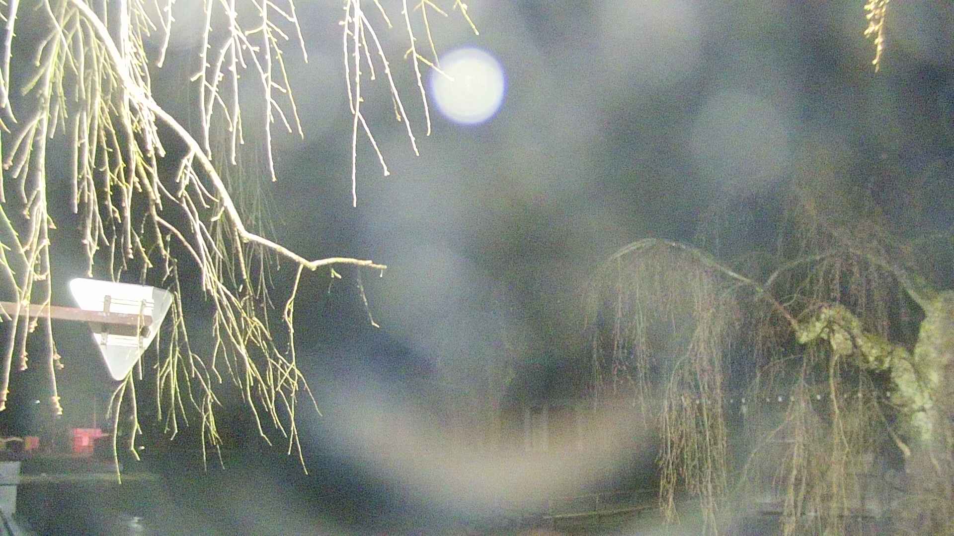 area1-20250418034014.jpg