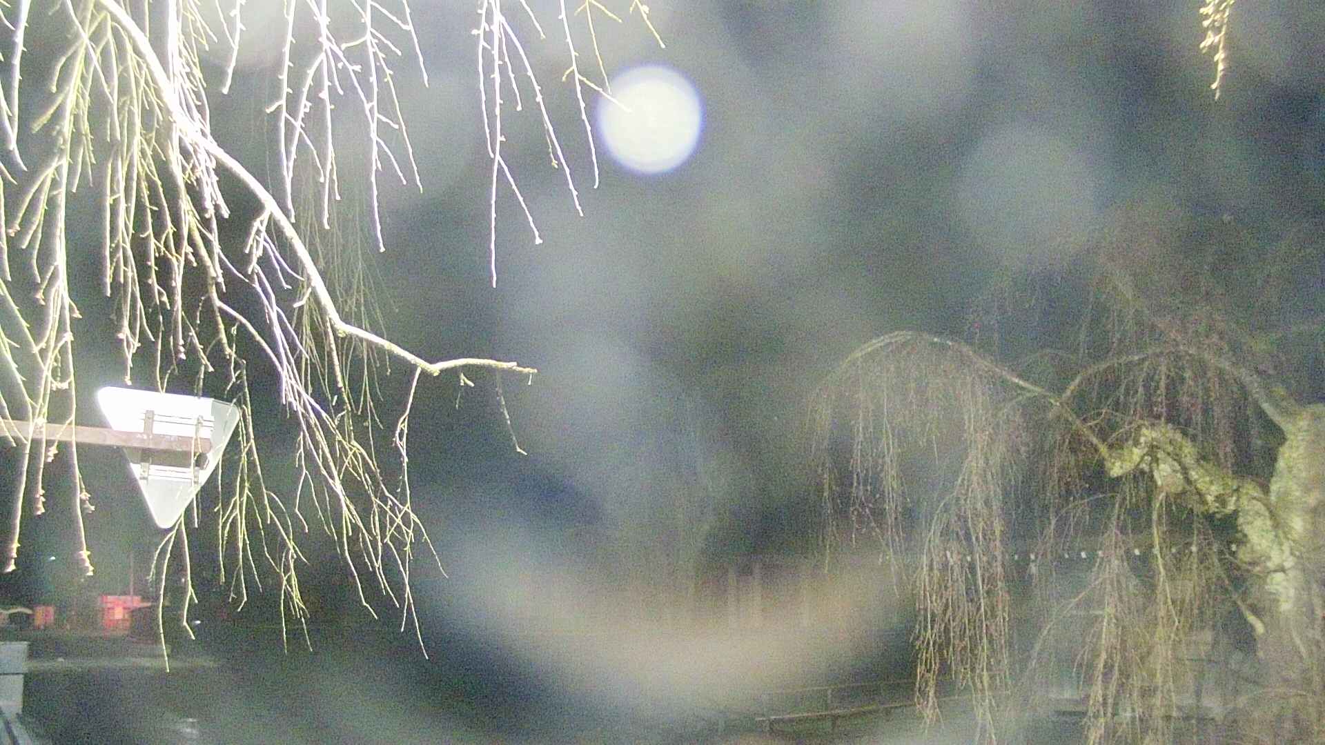 area1-20250418040016.jpg