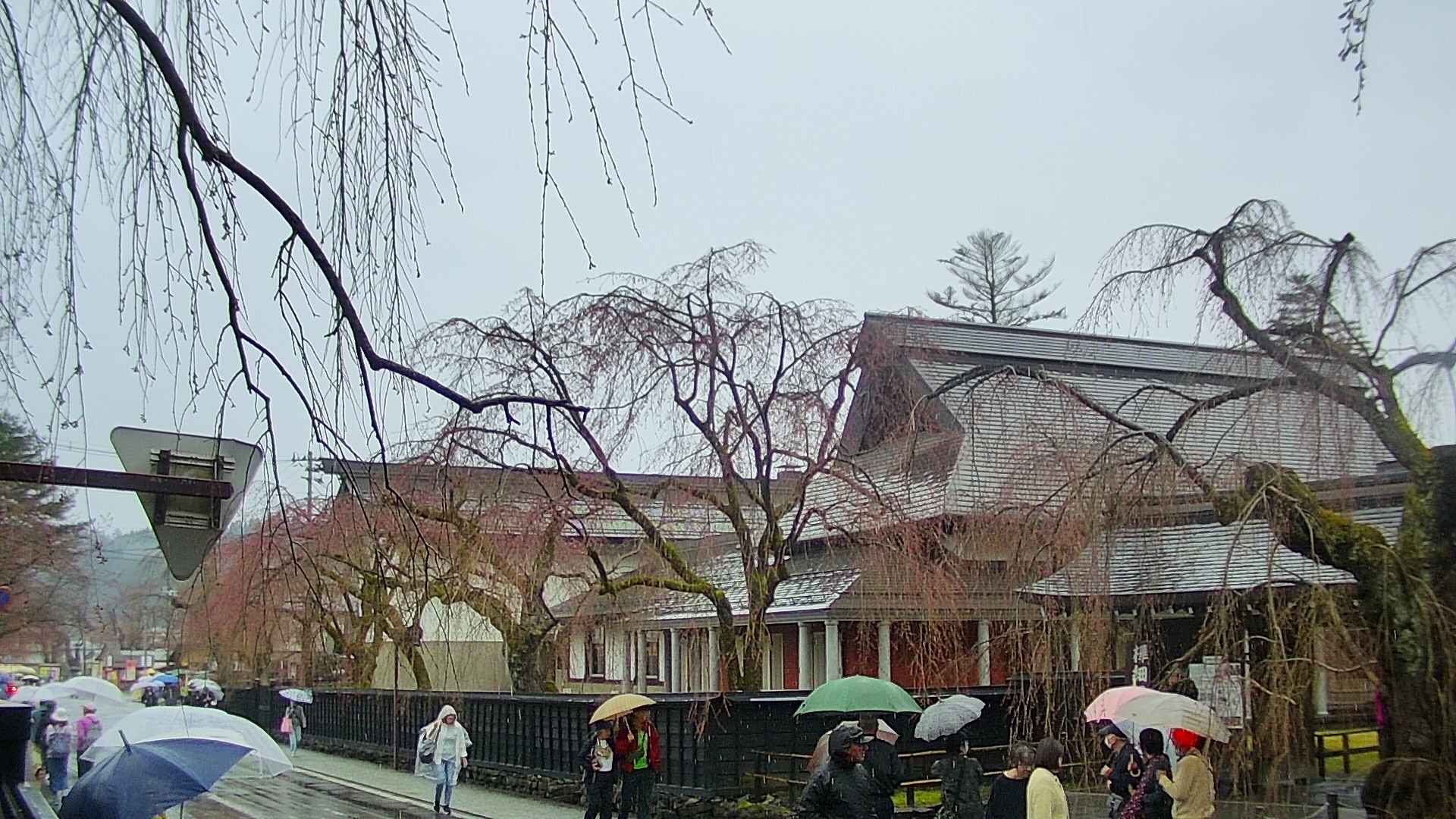 area1-20250418112016.jpg