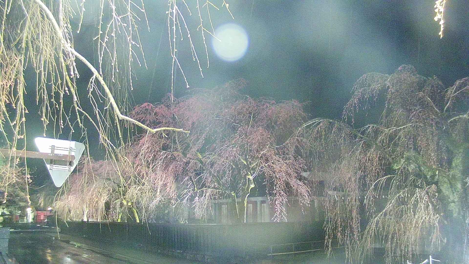 area1-20250418190015.jpg
