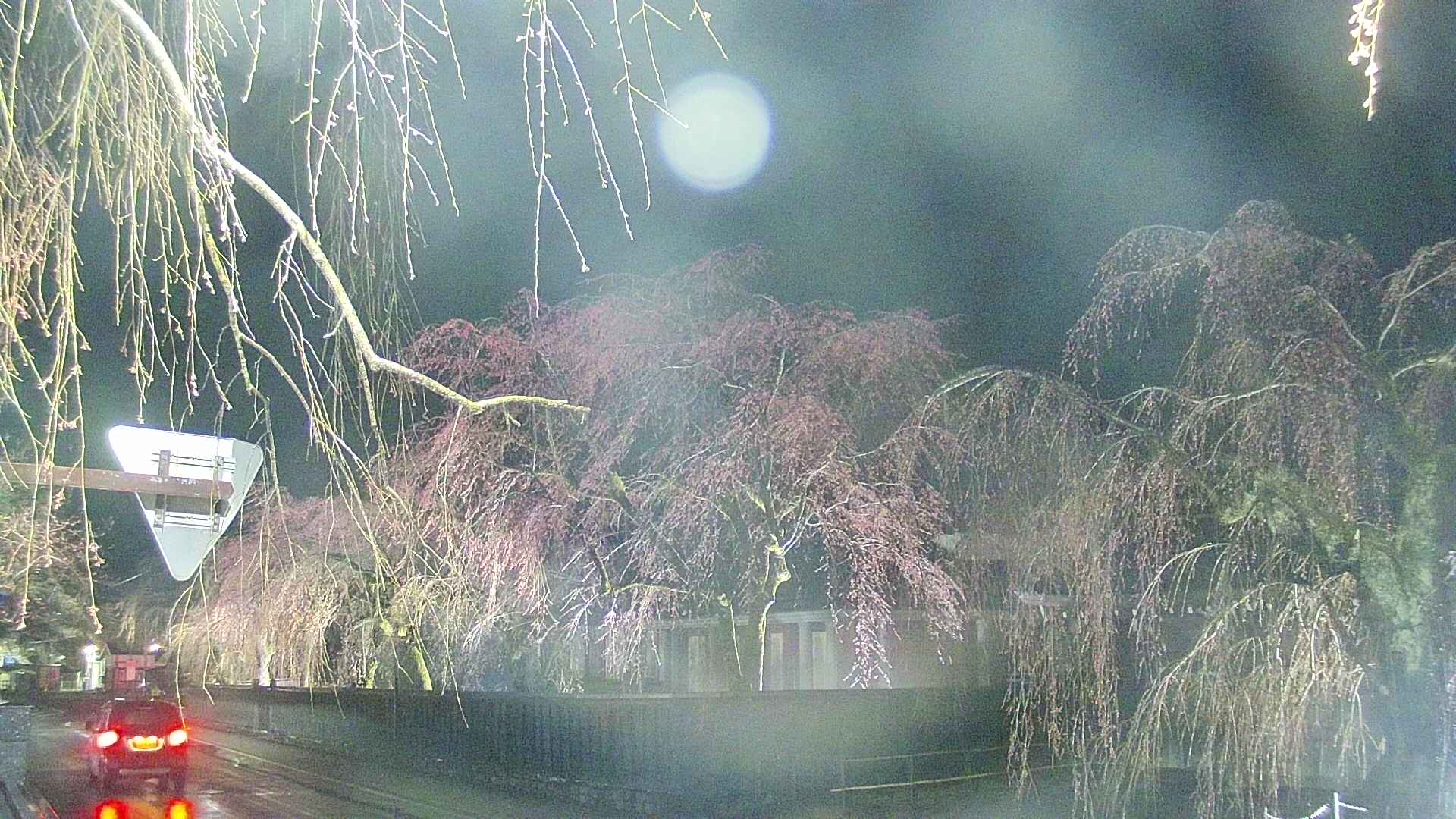 area1-20250418193016.jpg