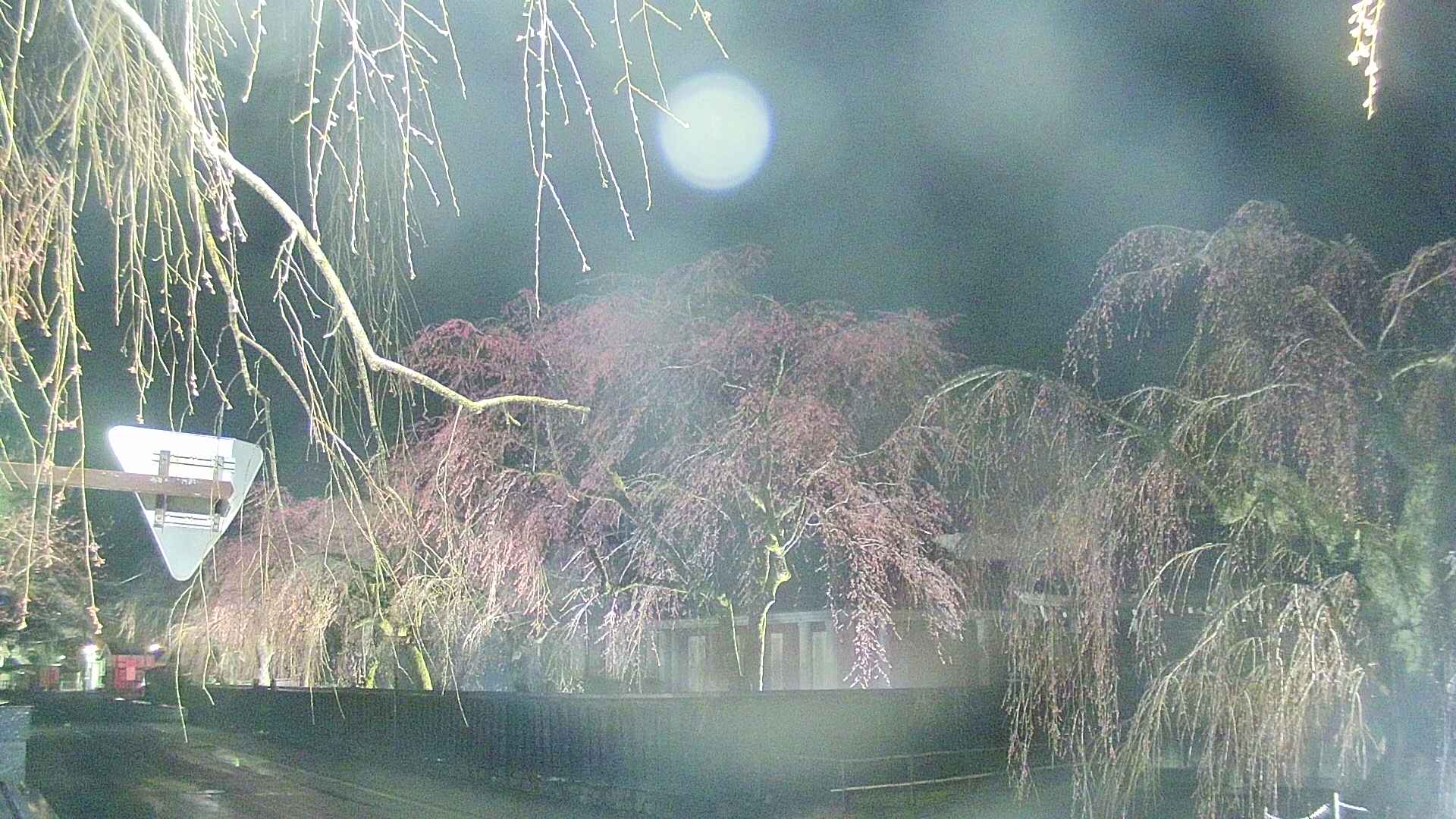 area1-20250418211016.jpg