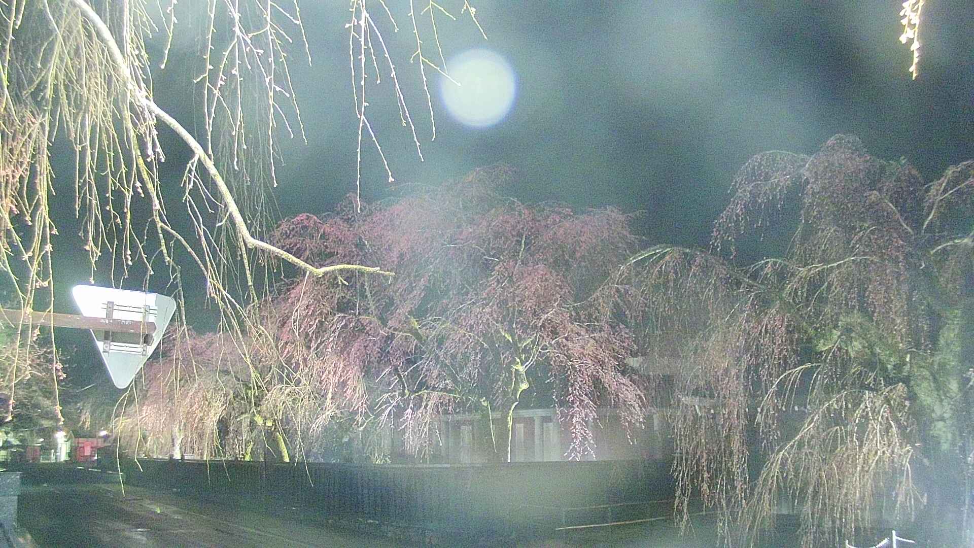 area1-20250418212015.jpg
