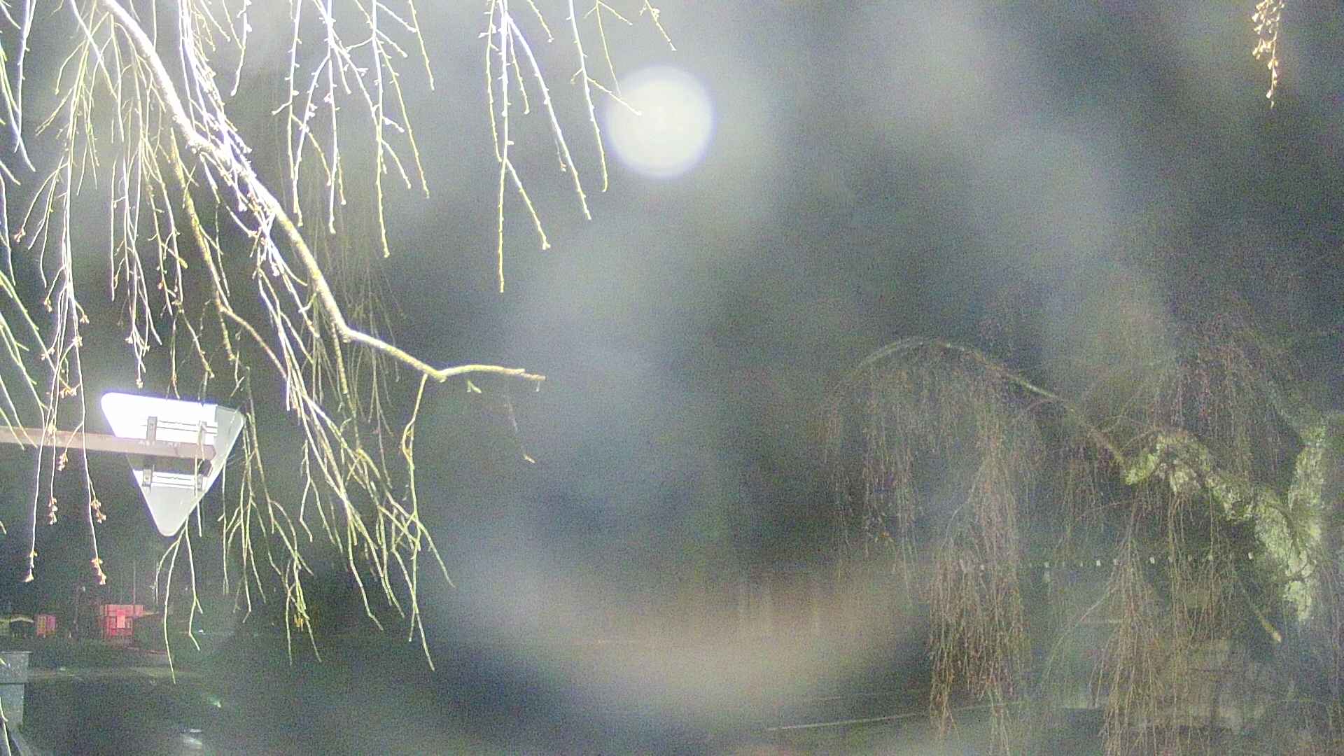 area1-20250419012017.jpg