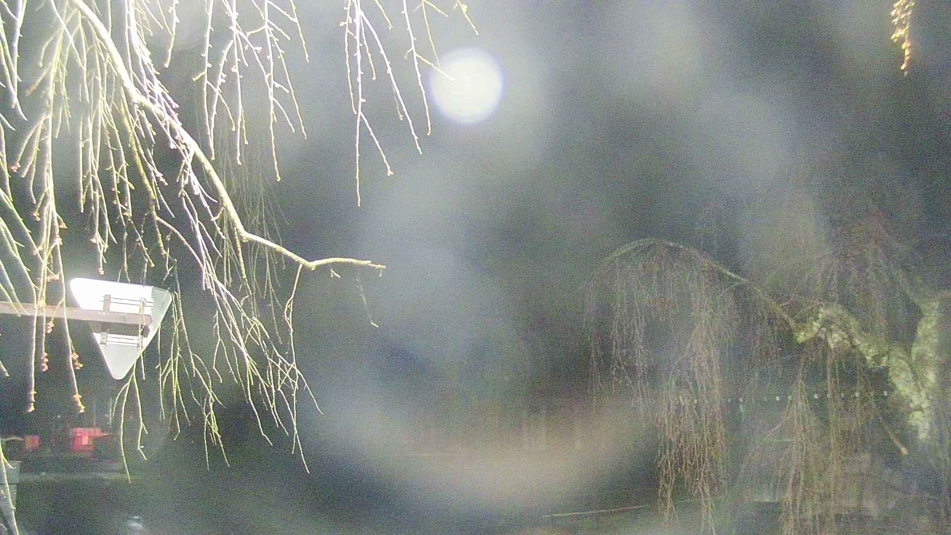 area1-20250419014016.jpg