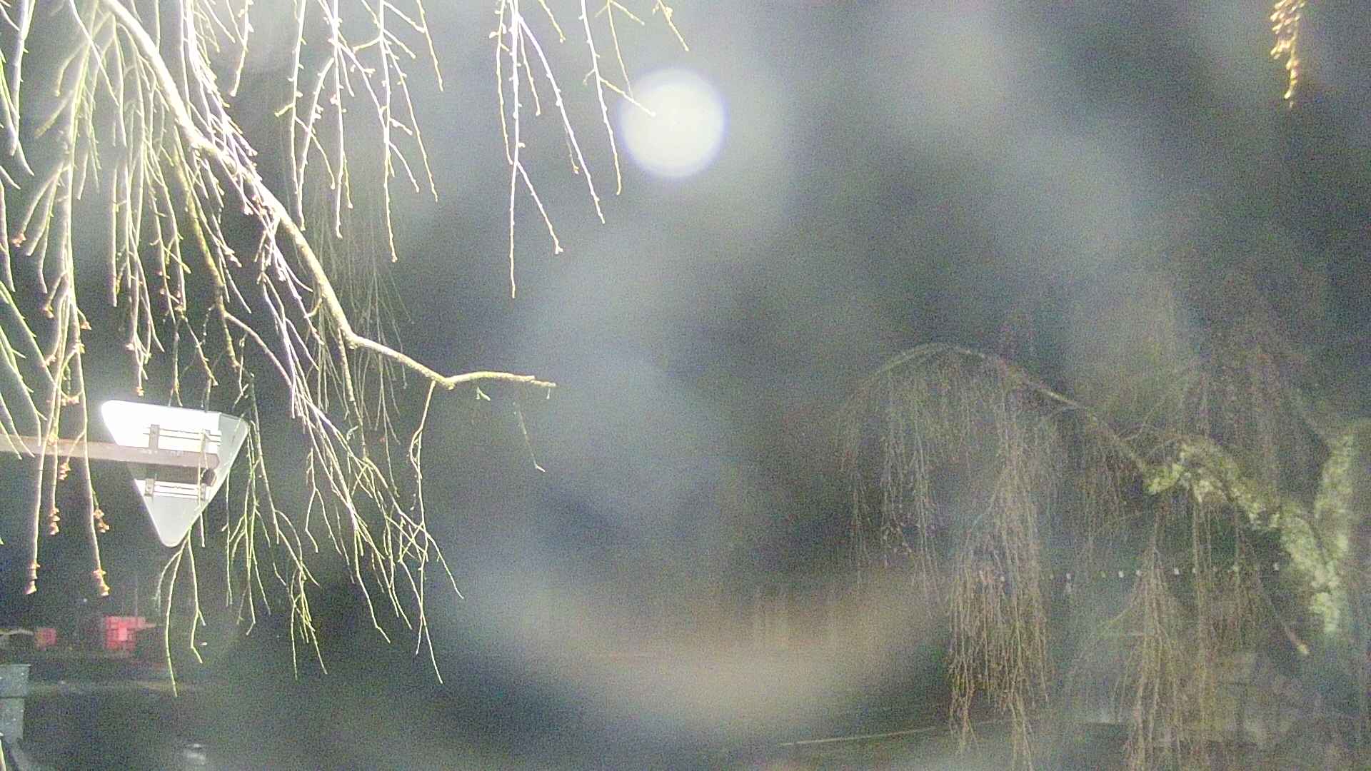 area1-20250419015017.jpg