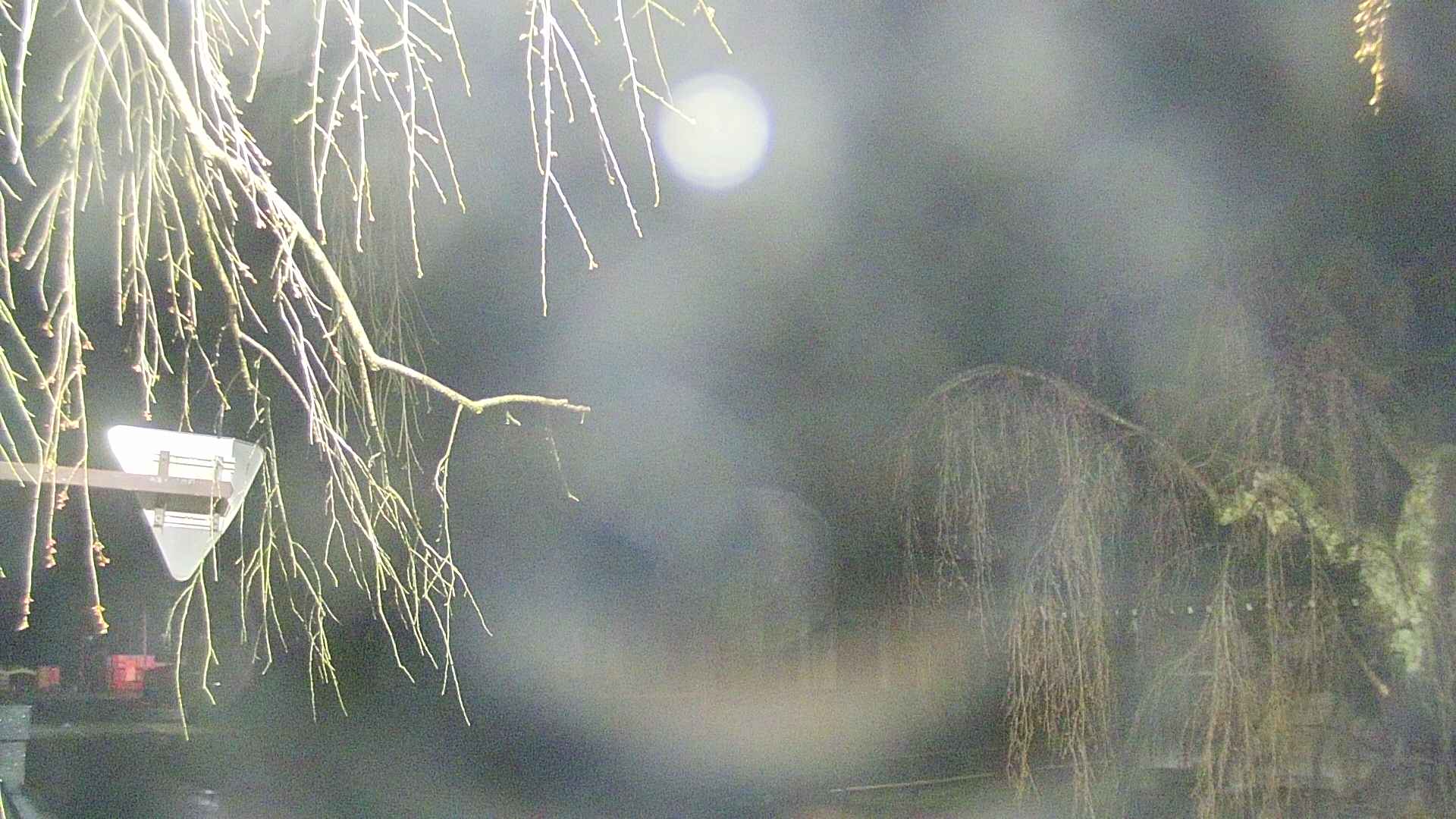 area1-20250419021015.jpg