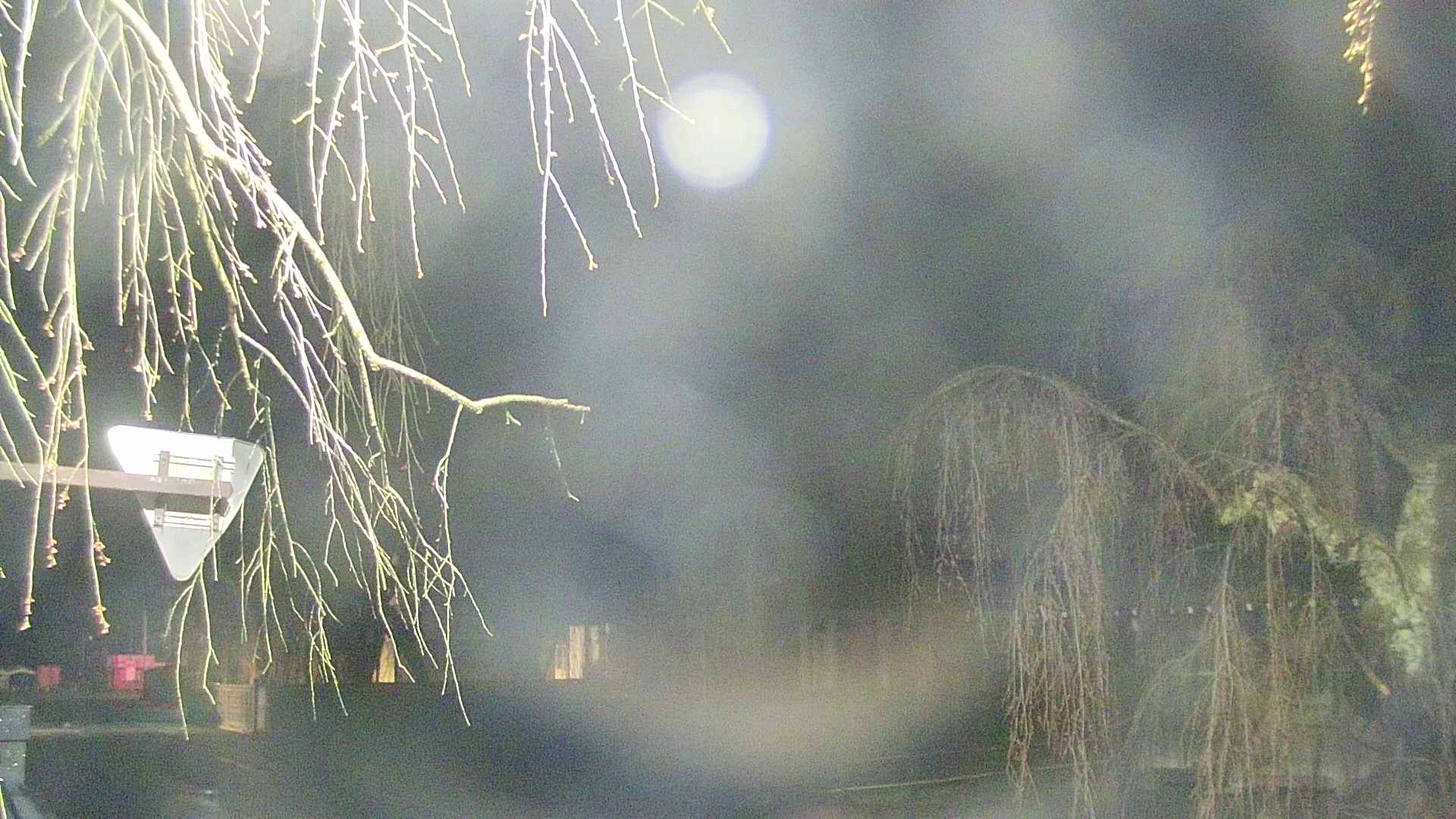 area1-20250419025016.jpg