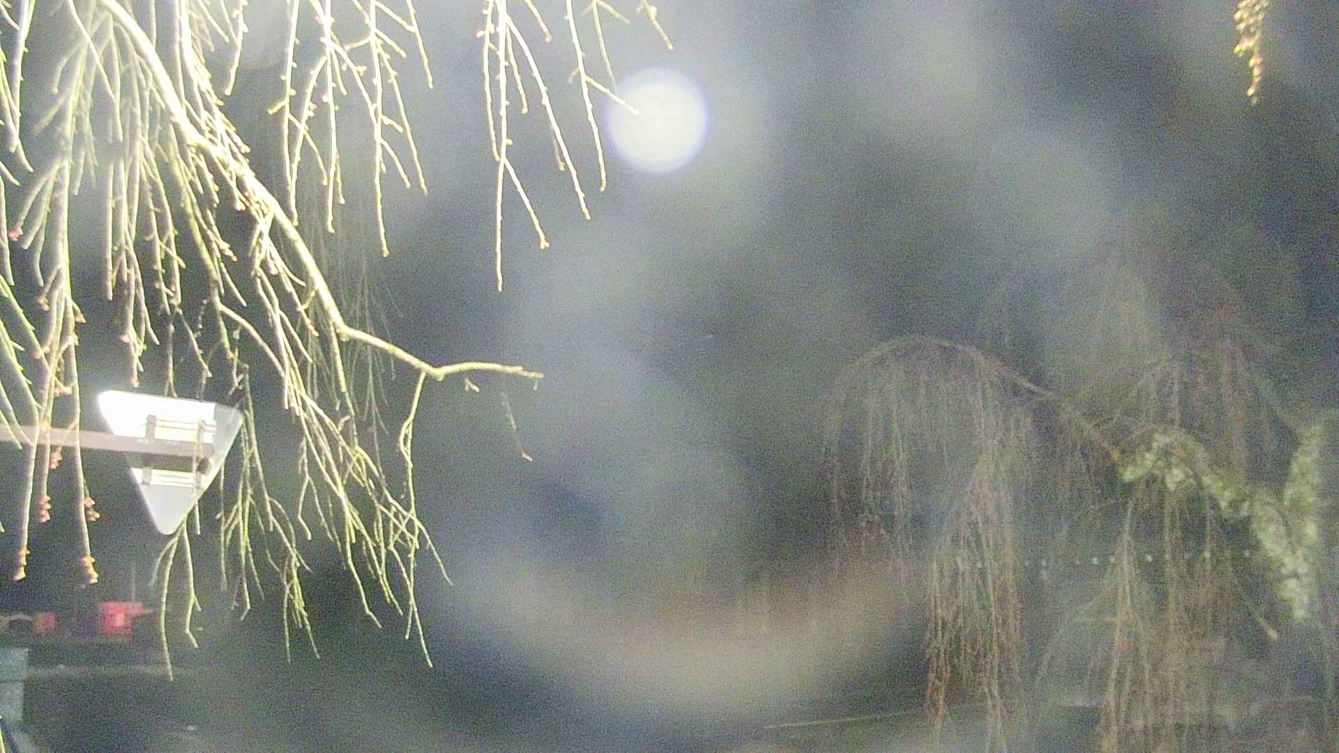 area1-20250419030016.jpg