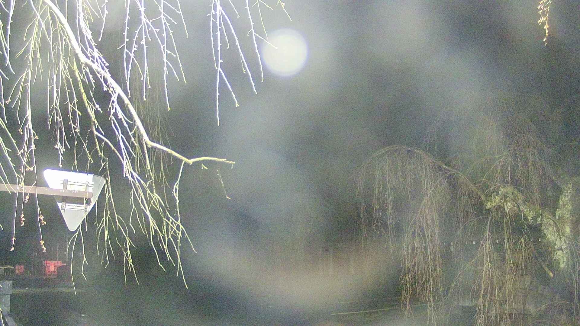 area1-20250419032016.jpg