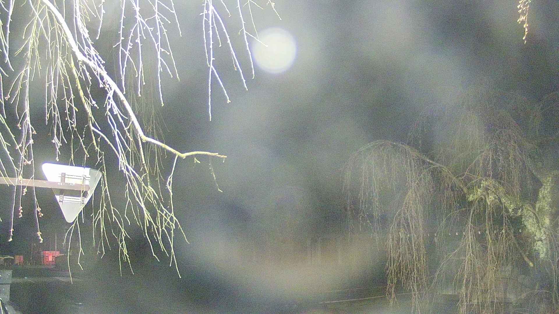 area1-20250419035015.jpg