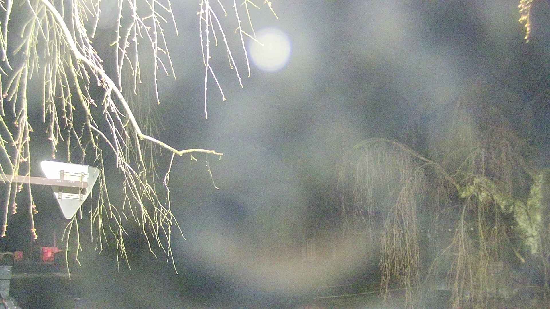 area1-20250419041015.jpg