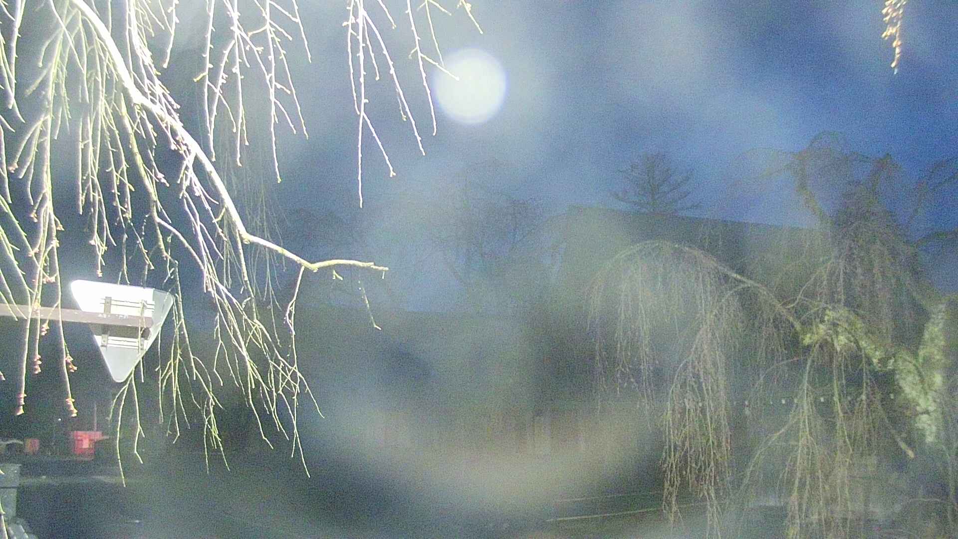 area1-20250419042015.jpg