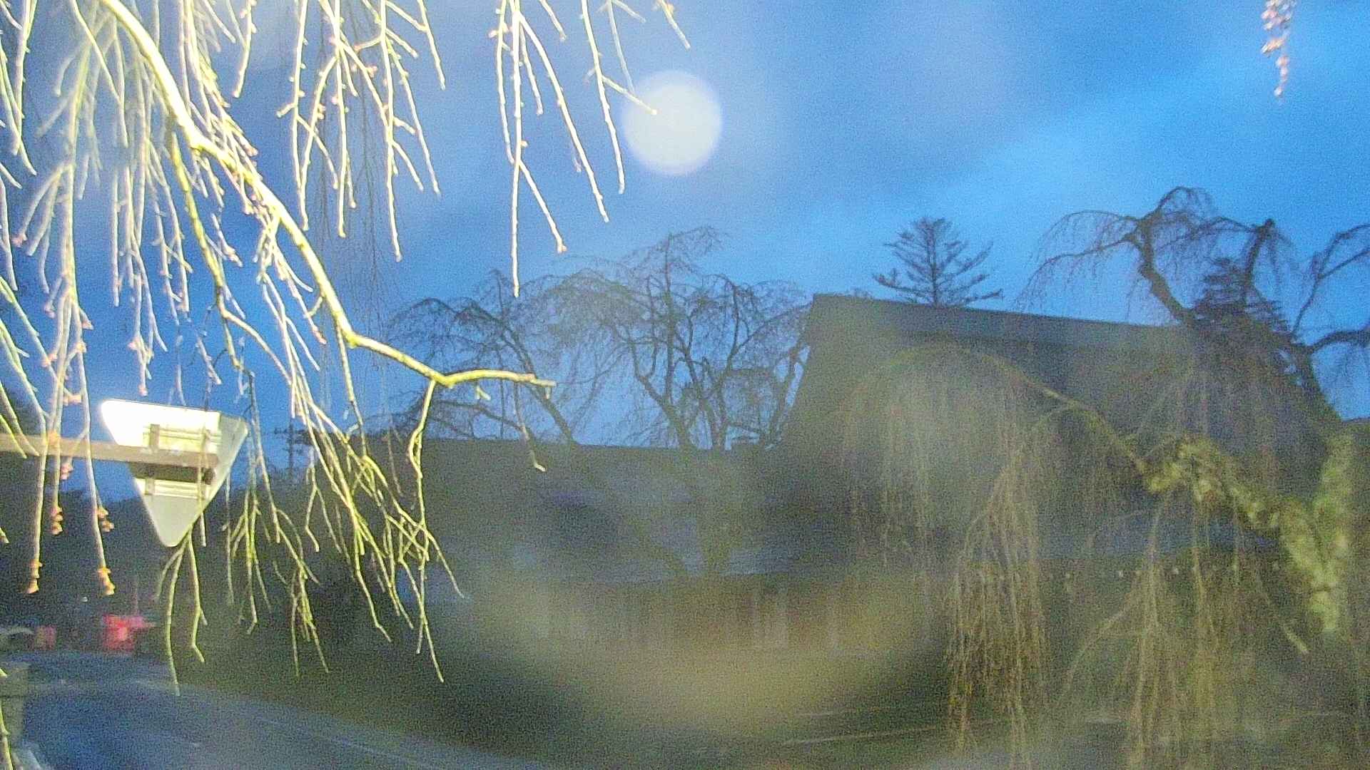 area1-20250419043015.jpg
