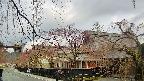 area1-20250419072015.jpg