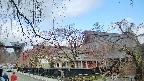 area1-20250419085016.jpg