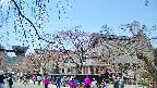 area1-20250419122014.jpg