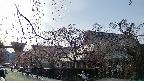 area1-20250419162015.jpg