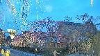 area1-20250419184015.jpg