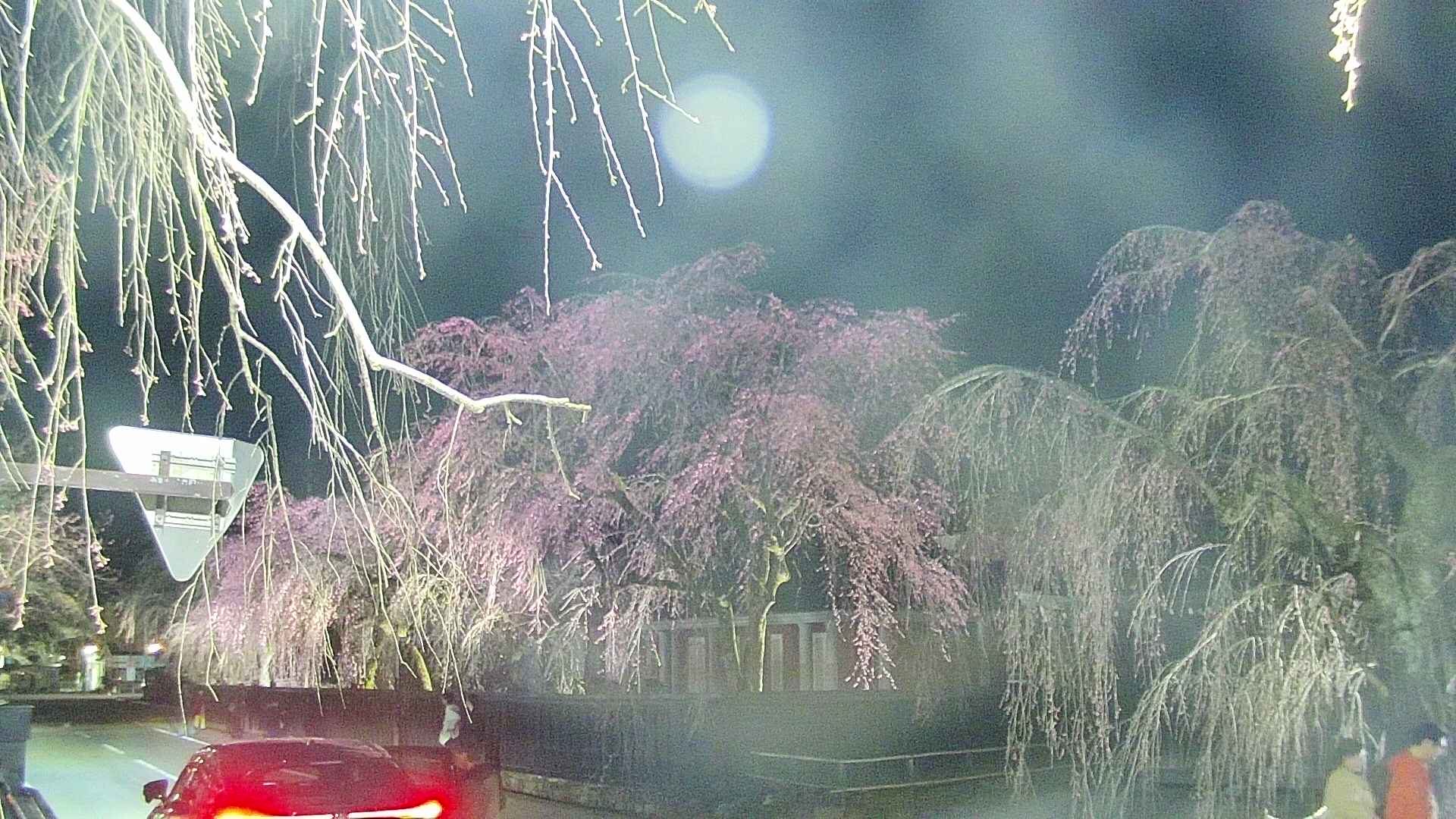 area1-20250419190016.jpg