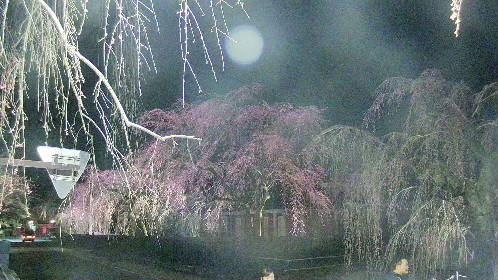 area1-20250419211015.jpg