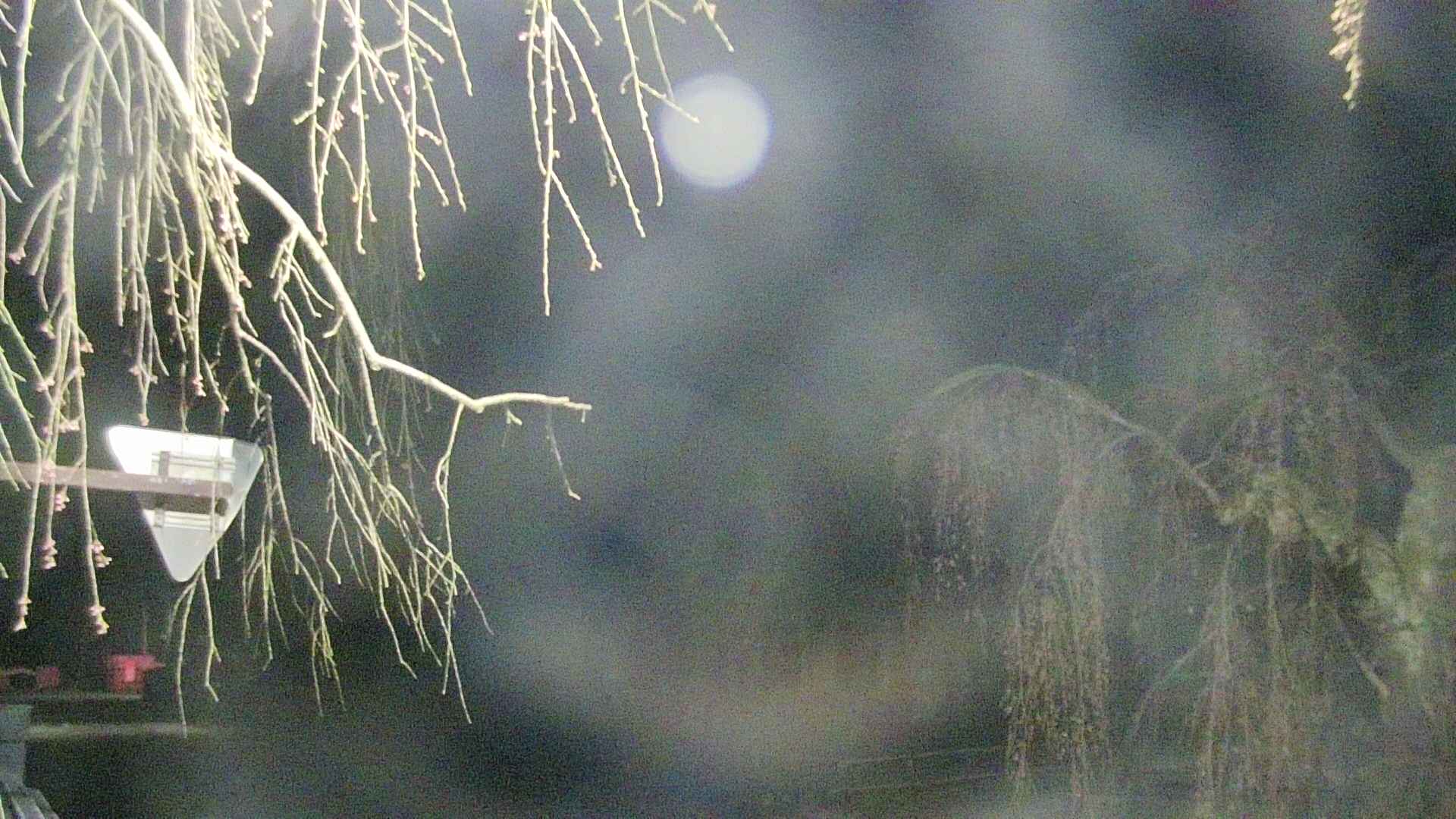 area1-20250420021015.jpg