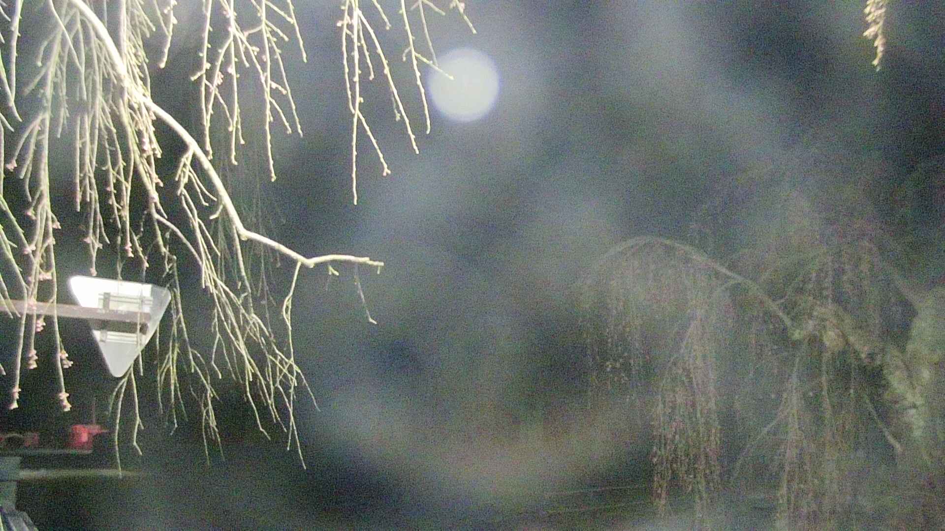 area1-20250420025016.jpg