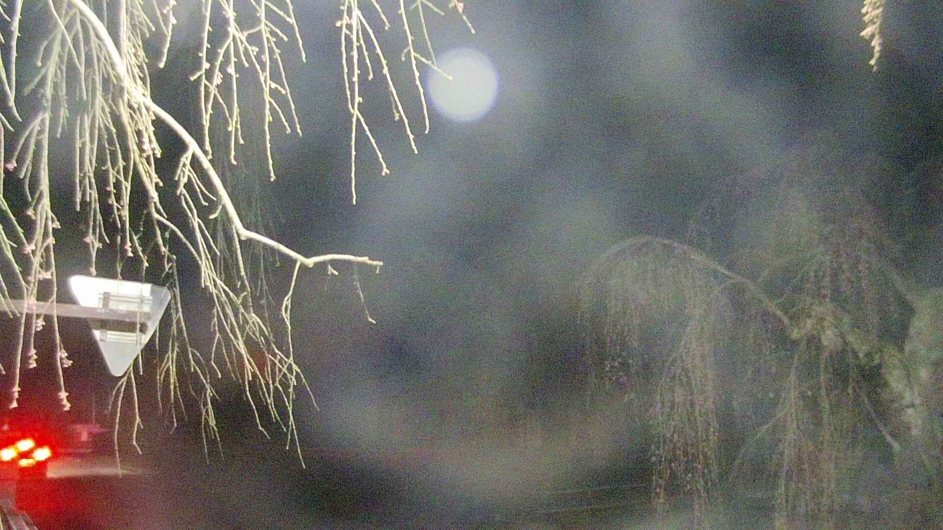 area1-20250420030015.jpg