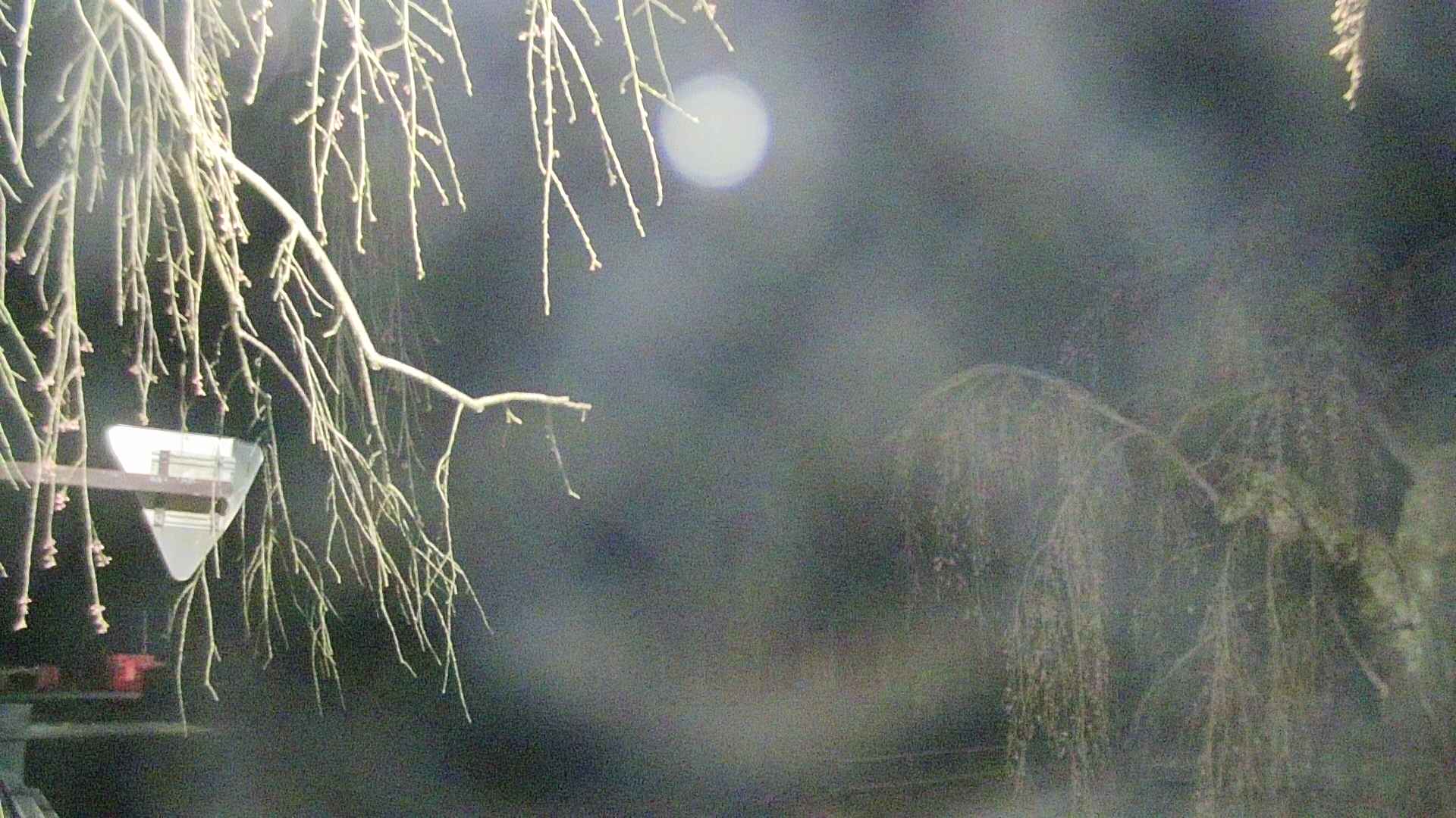 area1-20250420031014.jpg