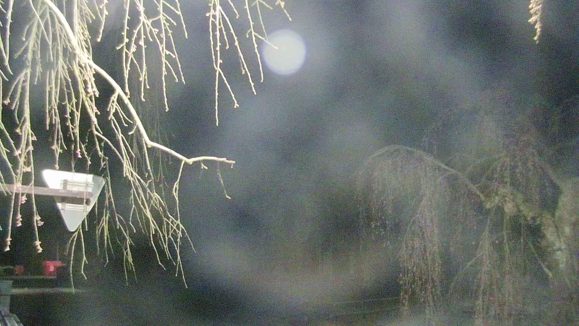 area1-20250420033016.jpg