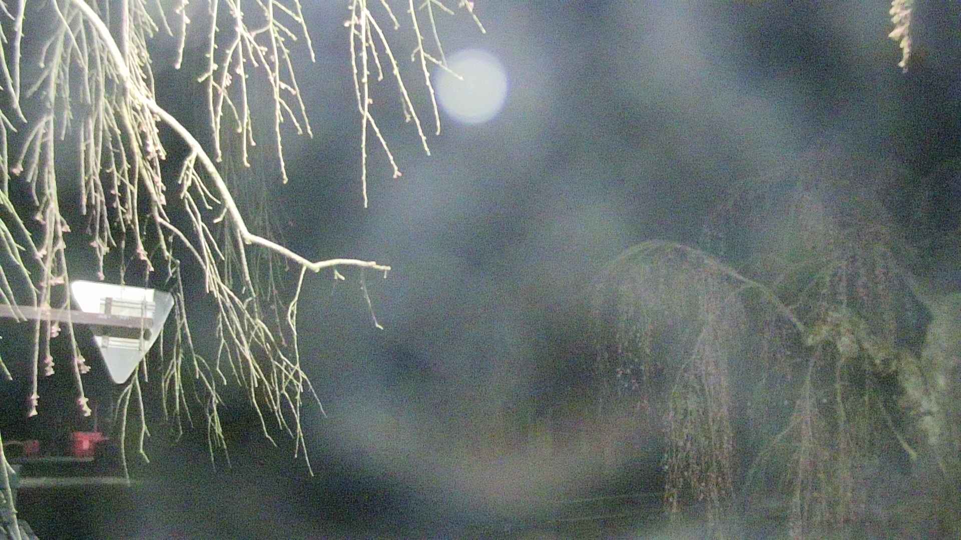 area1-20250420040016.jpg