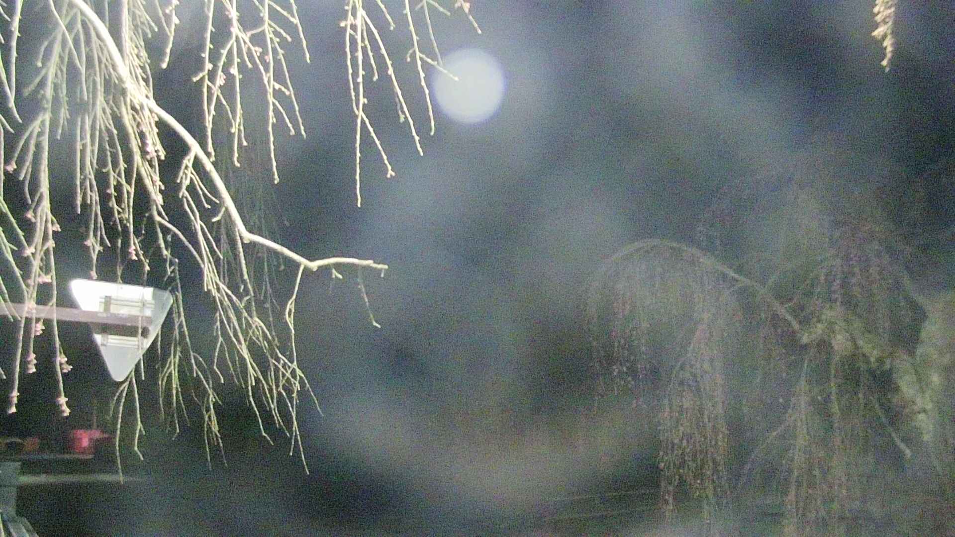 area1-20250420041017.jpg