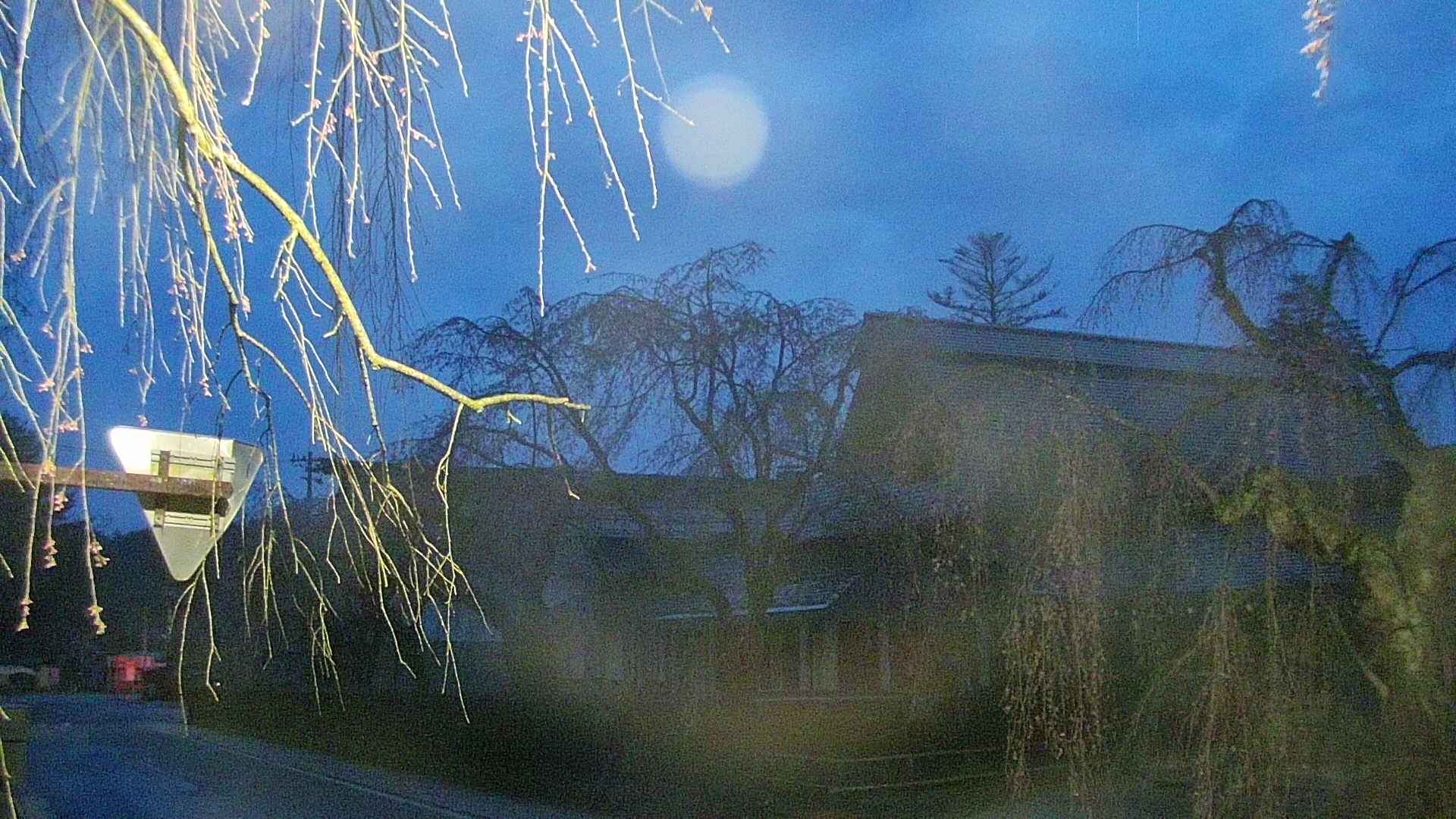 area1-20250420043016.jpg