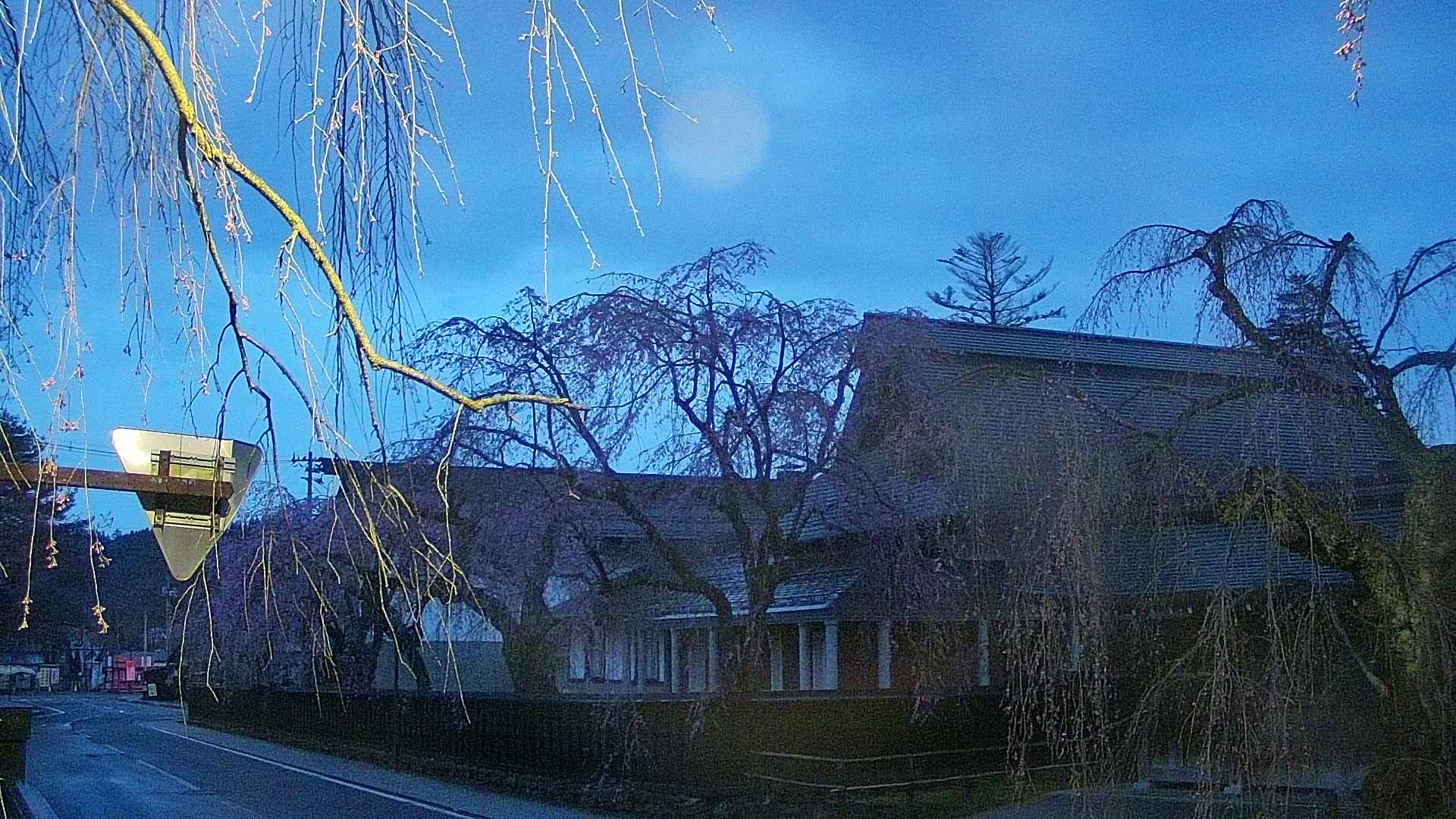 area1-20250420044016.jpg