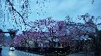 area1-20250420051015.jpg