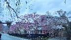 area1-20250420052014.jpg