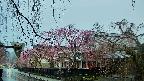 area1-20250420061014.jpg