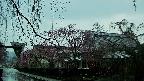 area1-20250420063017.jpg