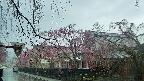 area1-20250420070015.jpg