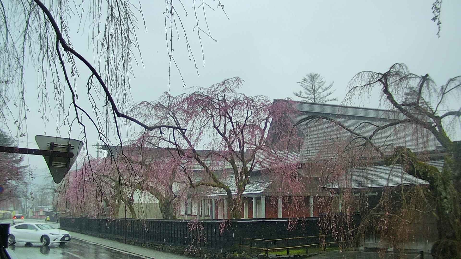 area1-20250420071015.jpg