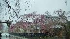 area1-20250420071015.jpg