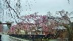 area1-20250420081016.jpg