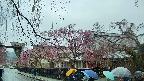 area1-20250420082016.jpg
