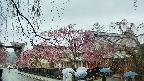 area1-20250420083016.jpg