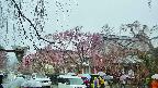 area1-20250420092016.jpg