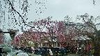 area1-20250420094015.jpg